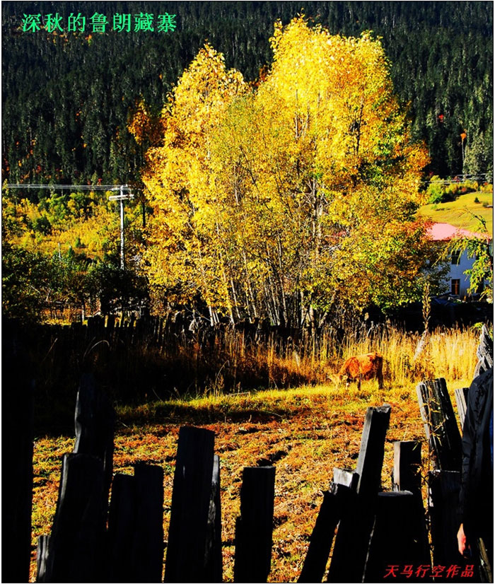 拉萨－巴松错－雅鲁藏布江大峡谷游艇五晚六日游